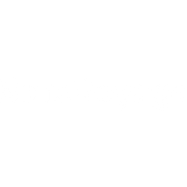 BoneVoyage